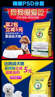 psd淘宝店招宠物用品 psd格式淘宝店招宠物用品素材图片 psd淘宝店招宠物用品设计模板 