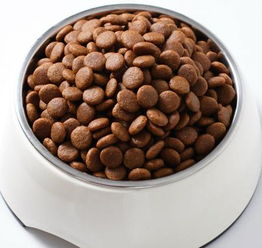宠物食品 10公斤 10kg宠物食品 全乐宠物食品 牛肉味宠物食品价格 厂家 图片