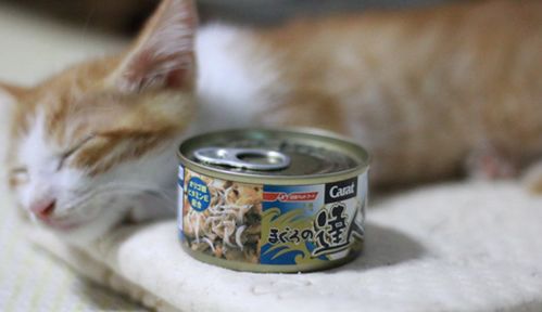 宠物食品前景可观 带动生产设备市场增量