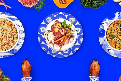 宠物食品公司 pet plate 品牌视觉升级