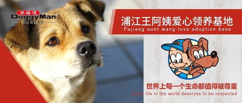 守护契约 多格漫捐赠价值12万元宠物食品送抵浦江王阿姨流浪狗基地