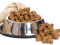 深圳宠物食品与用品