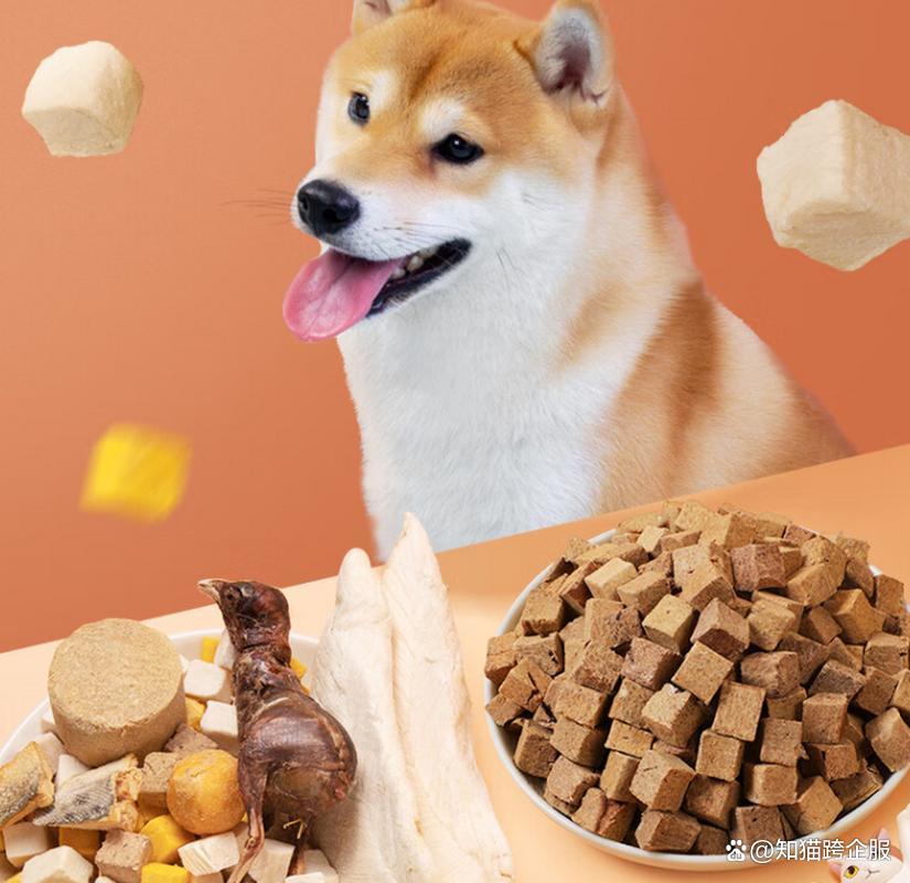 泰国宠物食品市场崛起!泰国市场注册攻略及核心要点解锁
