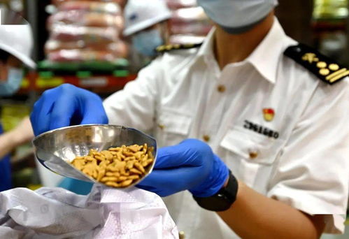 精准助力促提升 嘉兴这一产品畅销 一带一路 沿线国家和地区市场
