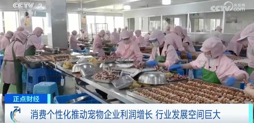 万亿元 又一黄金赛道 一年,新增近100万家相关企业 最具发展前景的是