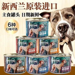 警告傲娇汪 既然你不想吃铲屎官的饭,那别偷看行不行